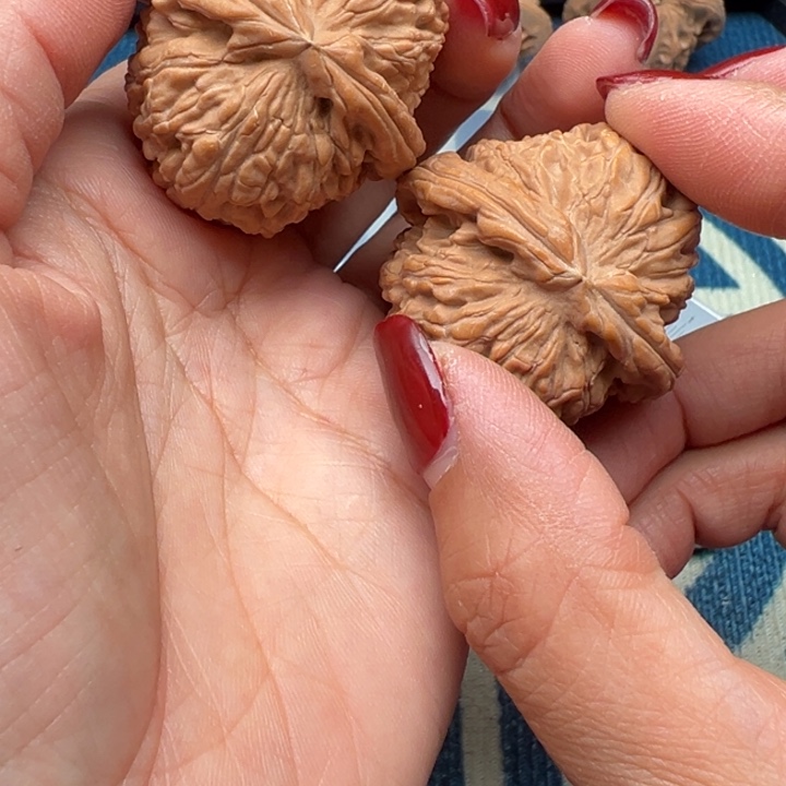 吊坠桃核文玩白狮子41