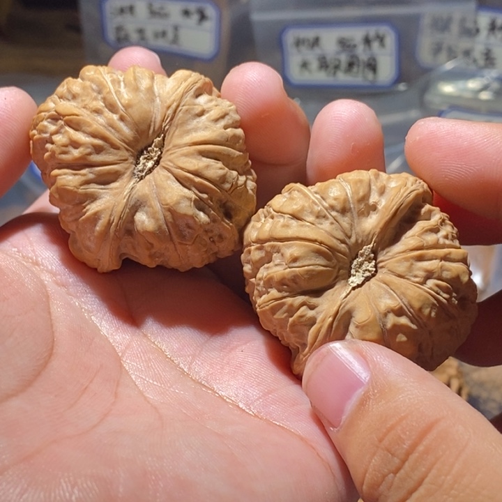 李***树吊坠文玩核桃43全品南瓜