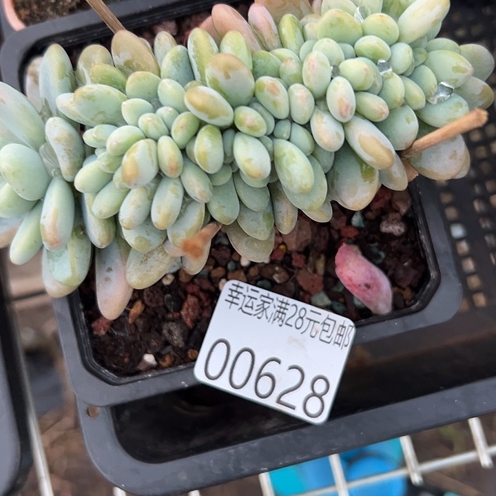 幸运的是我还没遇到过