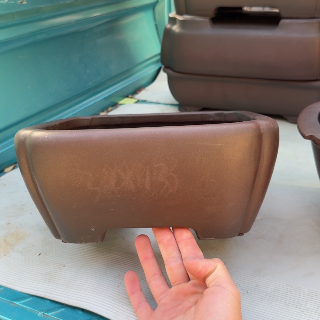 呜呜呜我的宝紫砂呜呜呜好可爱的宝宝