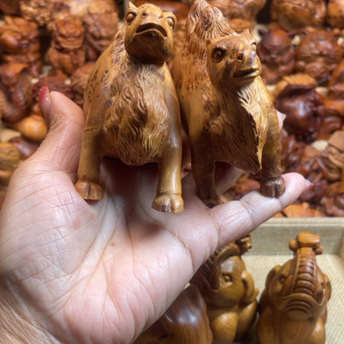 【闪购商品】柏木（崖柏）大***绘太行崖柏陈化料