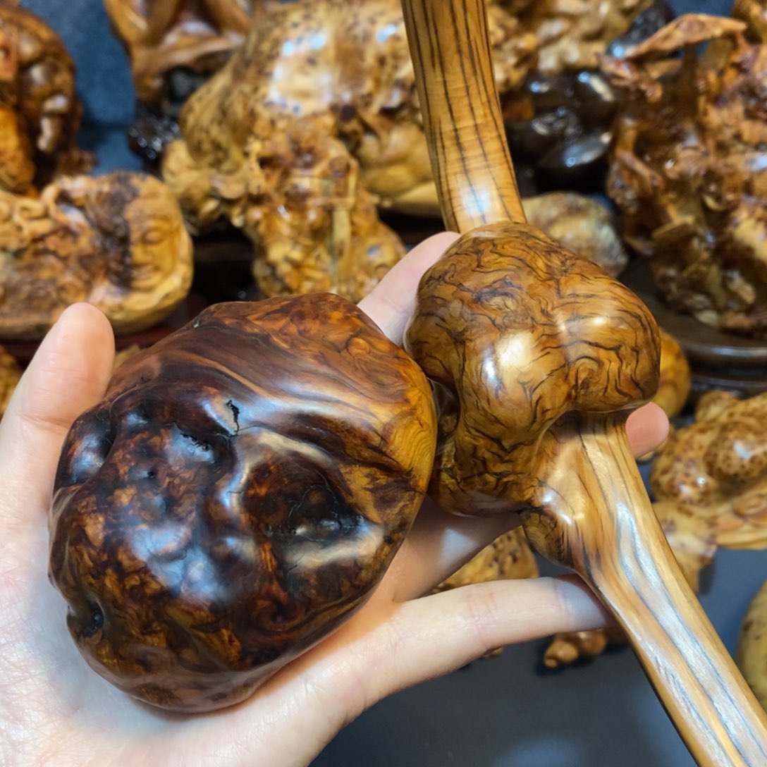 柏木（崖柏）笑*太行崖柏