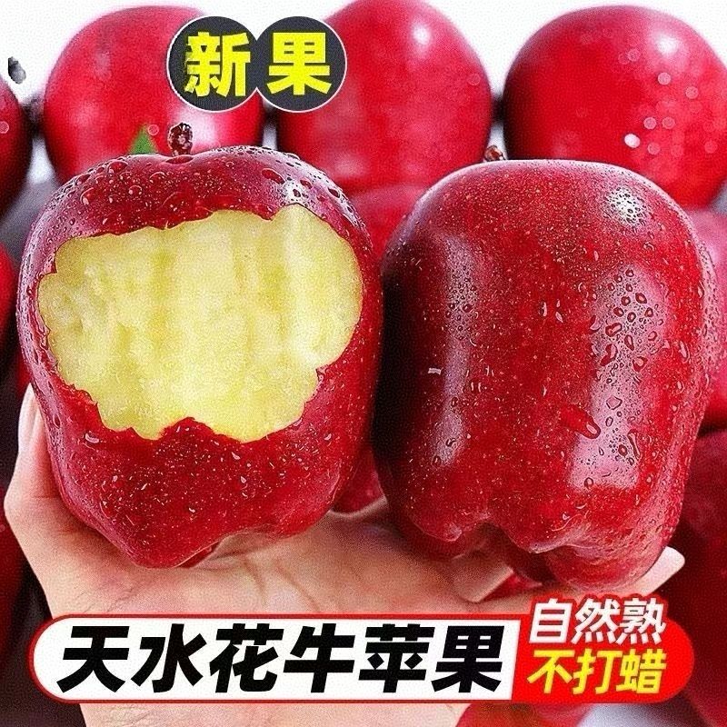 【秦安苹果】甘肃天水秦安花牛2025新苹果蛇果当季水果脆甜爽口包邮