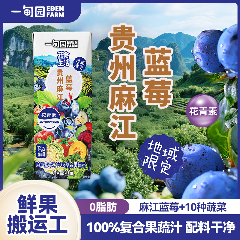 一甸园地域限定 麻江蓝莓味100%复合果蔬汁补充花青素200ml*10 ZB