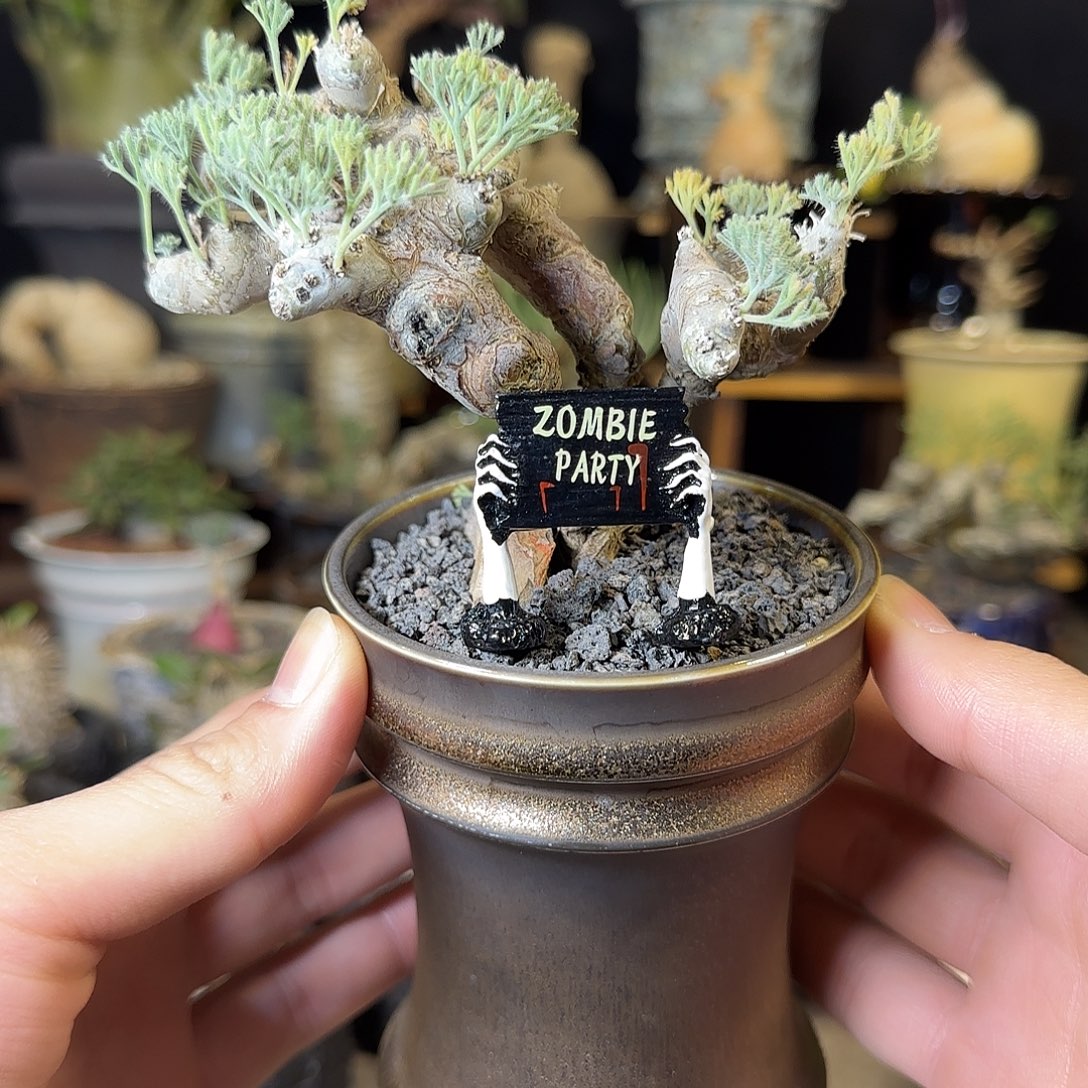 一物一拍黑皮月界580