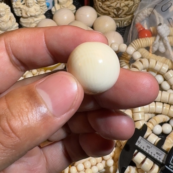 大***哥吊坠菩提根/象牙果