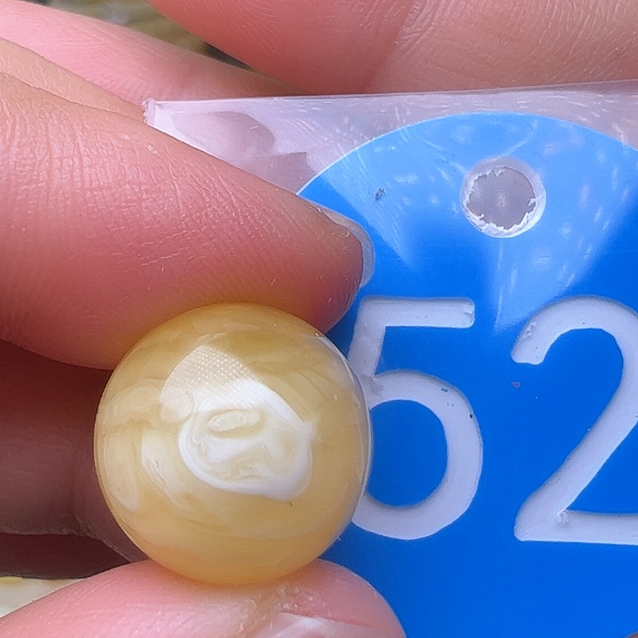 蜜蜡裸石未镶嵌花粉14.7m m