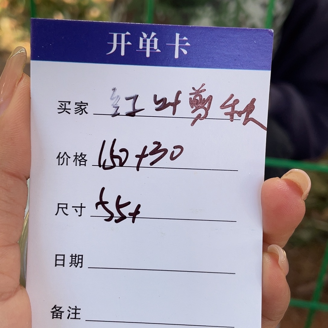 *****非金属所见皆所得