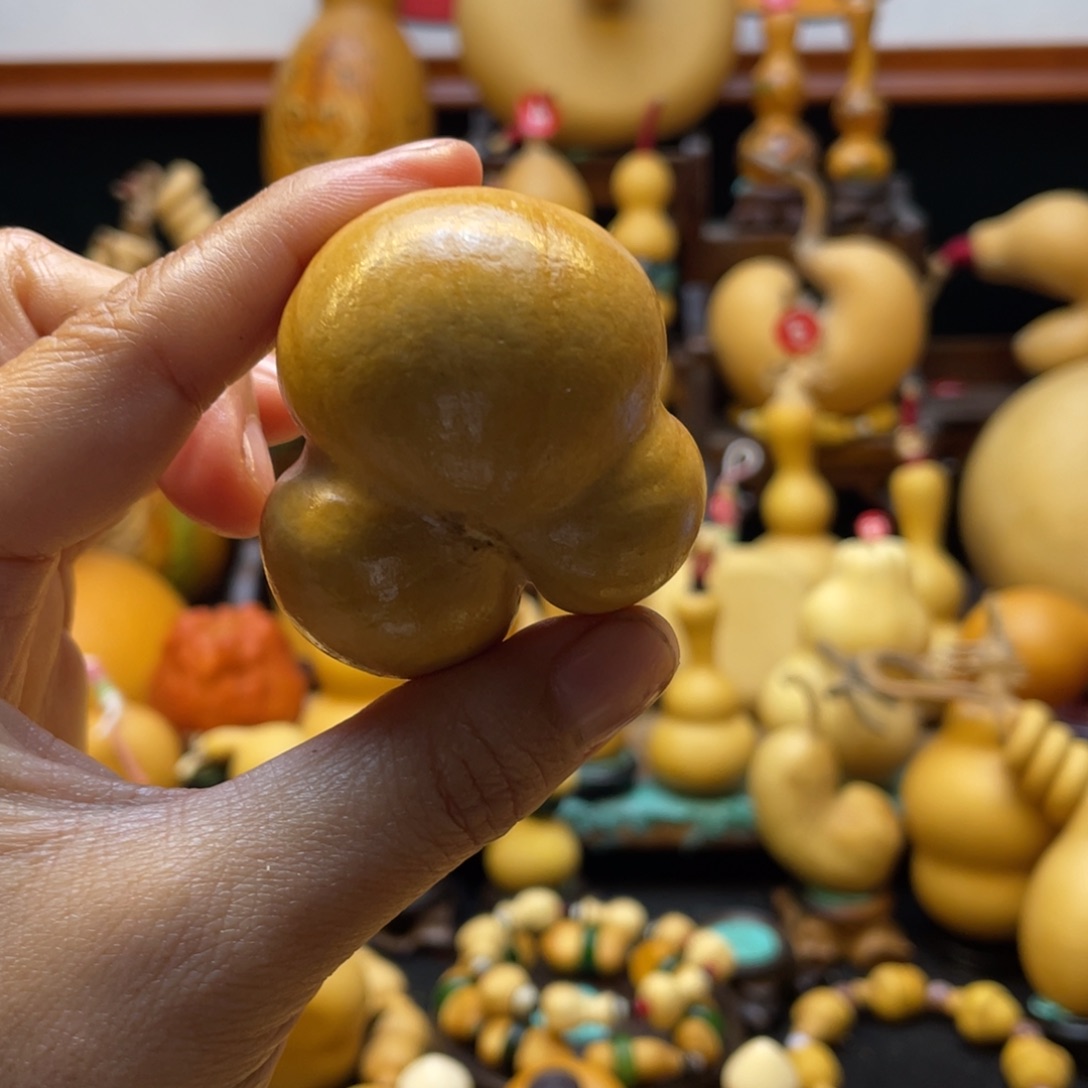 泰****业大自然的秘密第十一节的