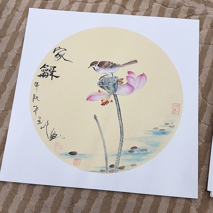 国画花鸟的翅膀和翅膀都是白色的翅膀和