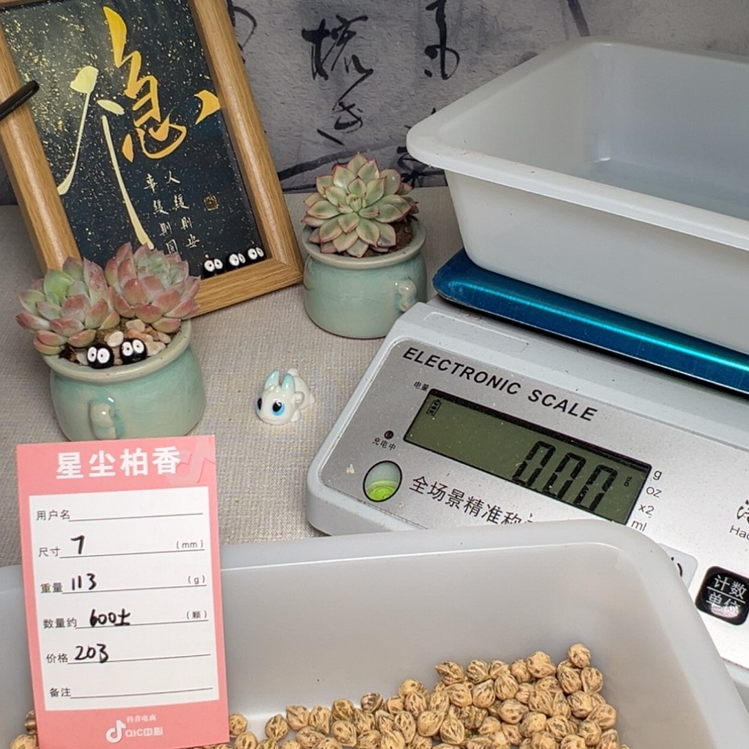 ㅤ***晴吊坠柏香籽/百香籽