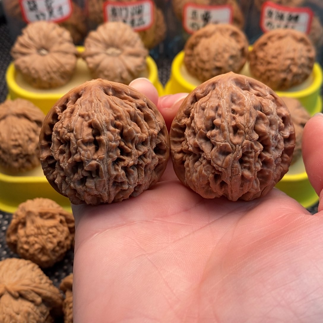 橄榄核手串/手链零***贰水龙纹