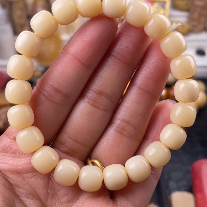 驼骨手串/手链骆驼骨老邢10