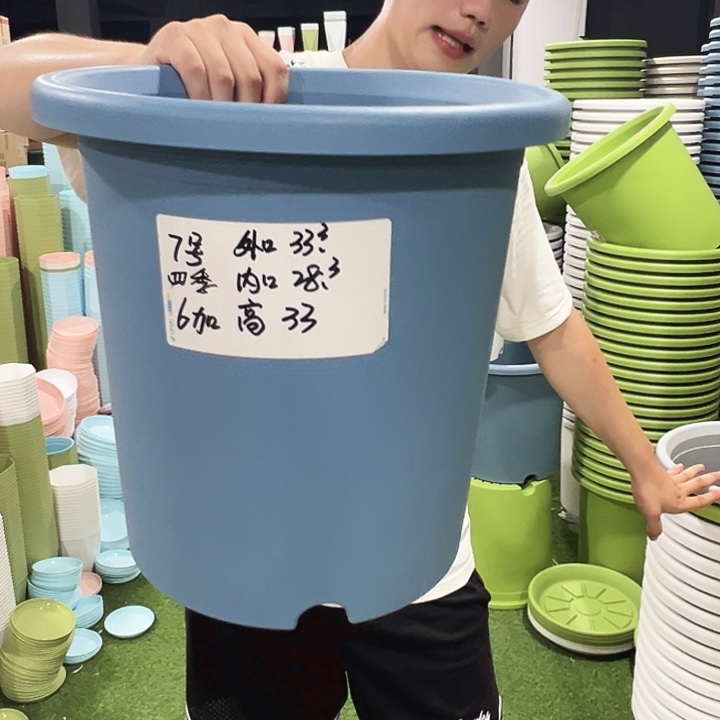 特价7号口33高33果绿无托4只