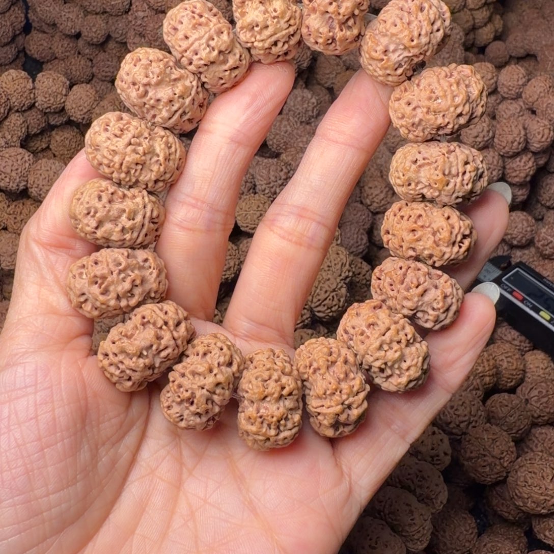 手串金刚菩提5瓣夹板卡22尺，50号