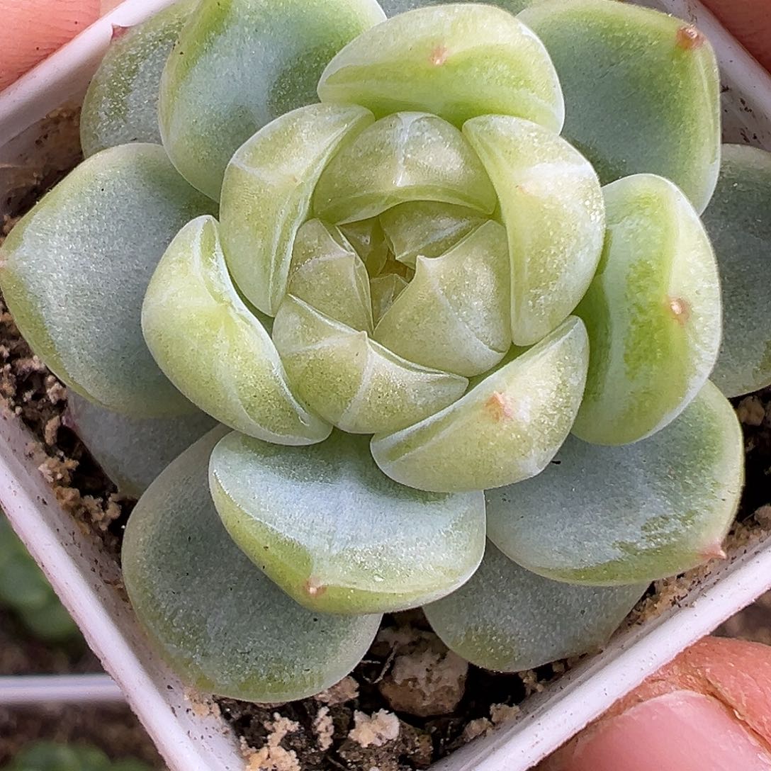 财富密码。          