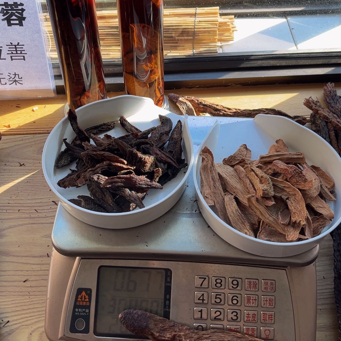 辻*°阿拉善沙漠肉苁蓉