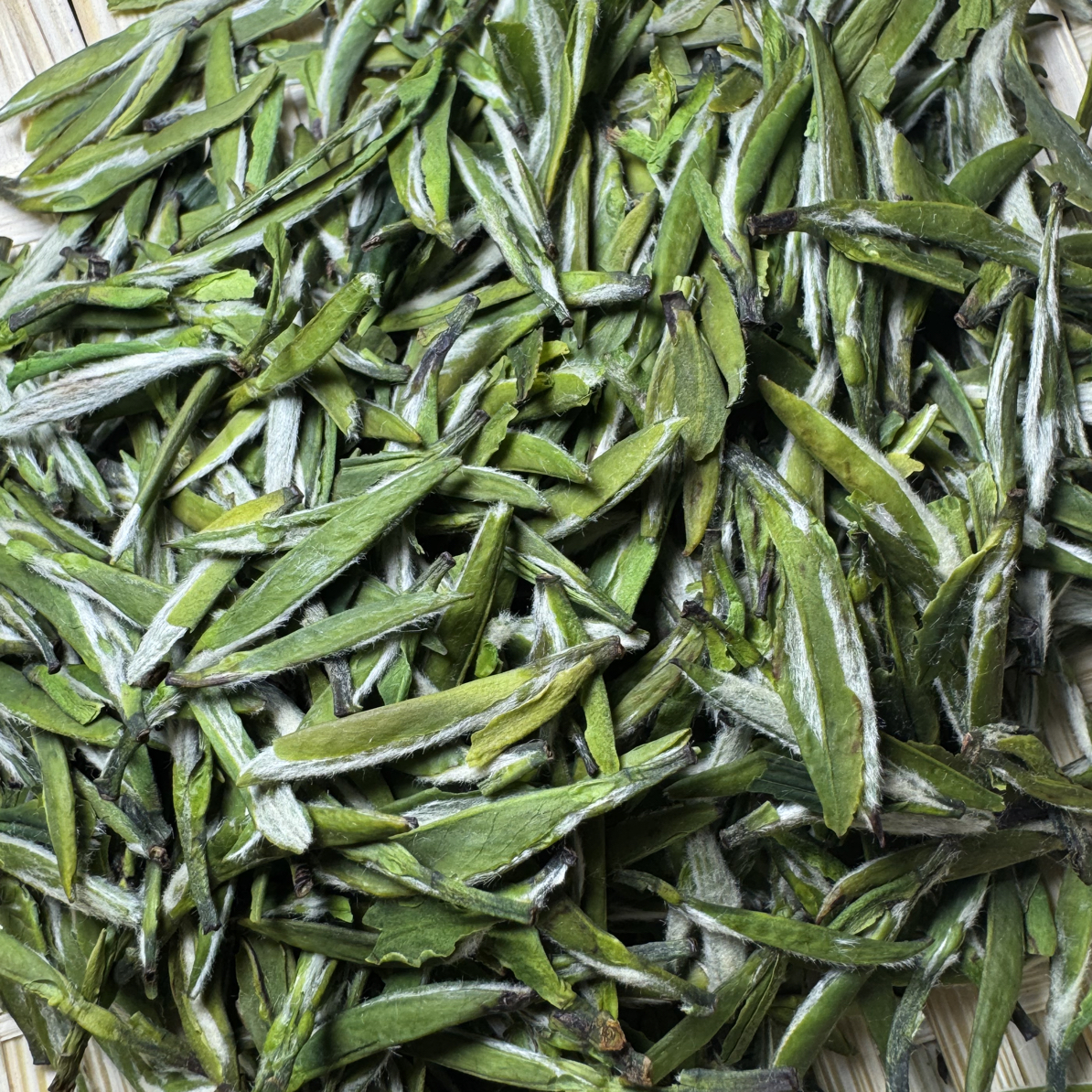 新茶绿茶雀舌香味浓郁