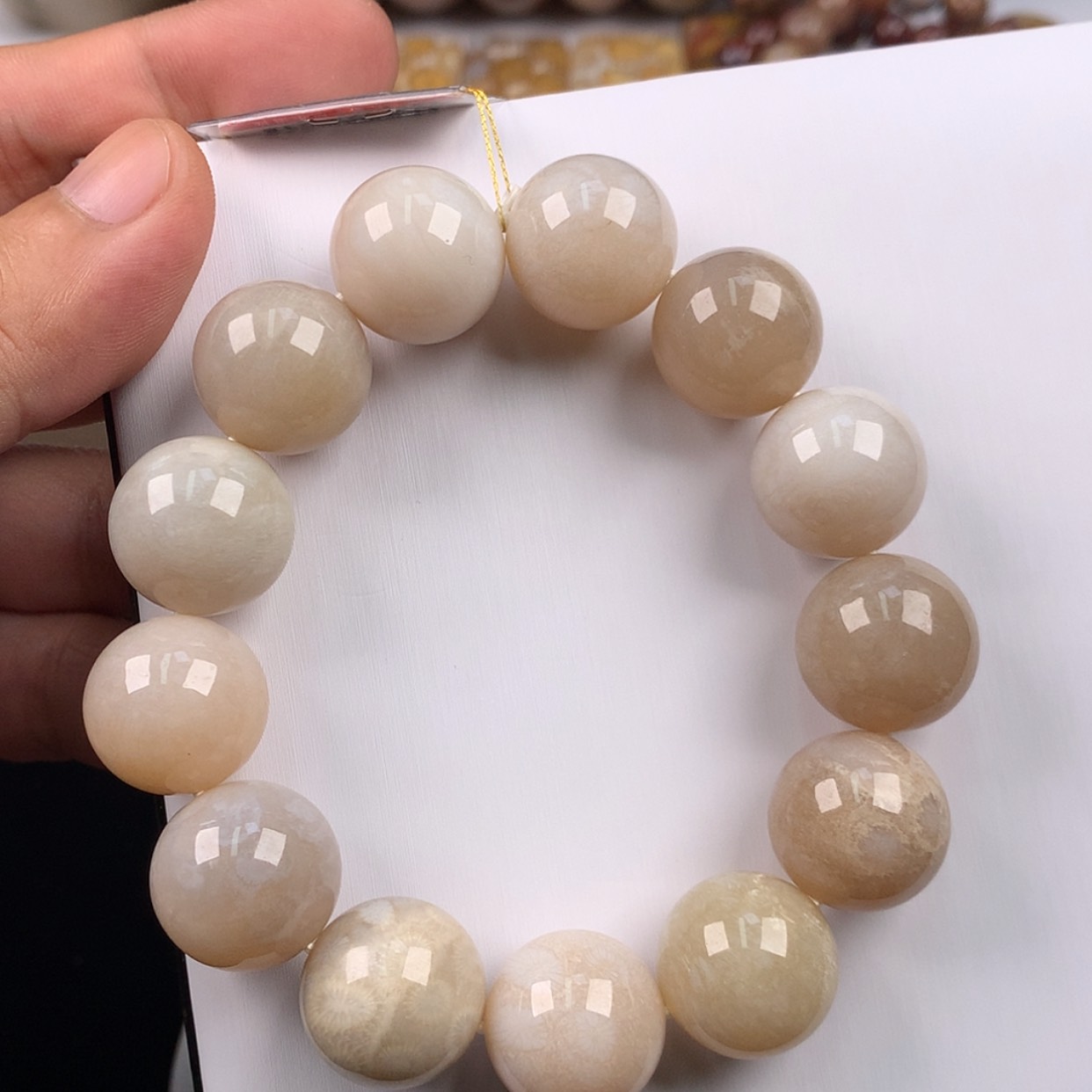 【闪购商品】硅化珊瑚（珊瑚玉）未镶嵌手链