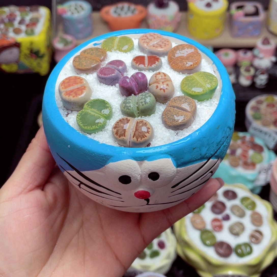 w9341 带盆土发货-零下地区拍保温箱