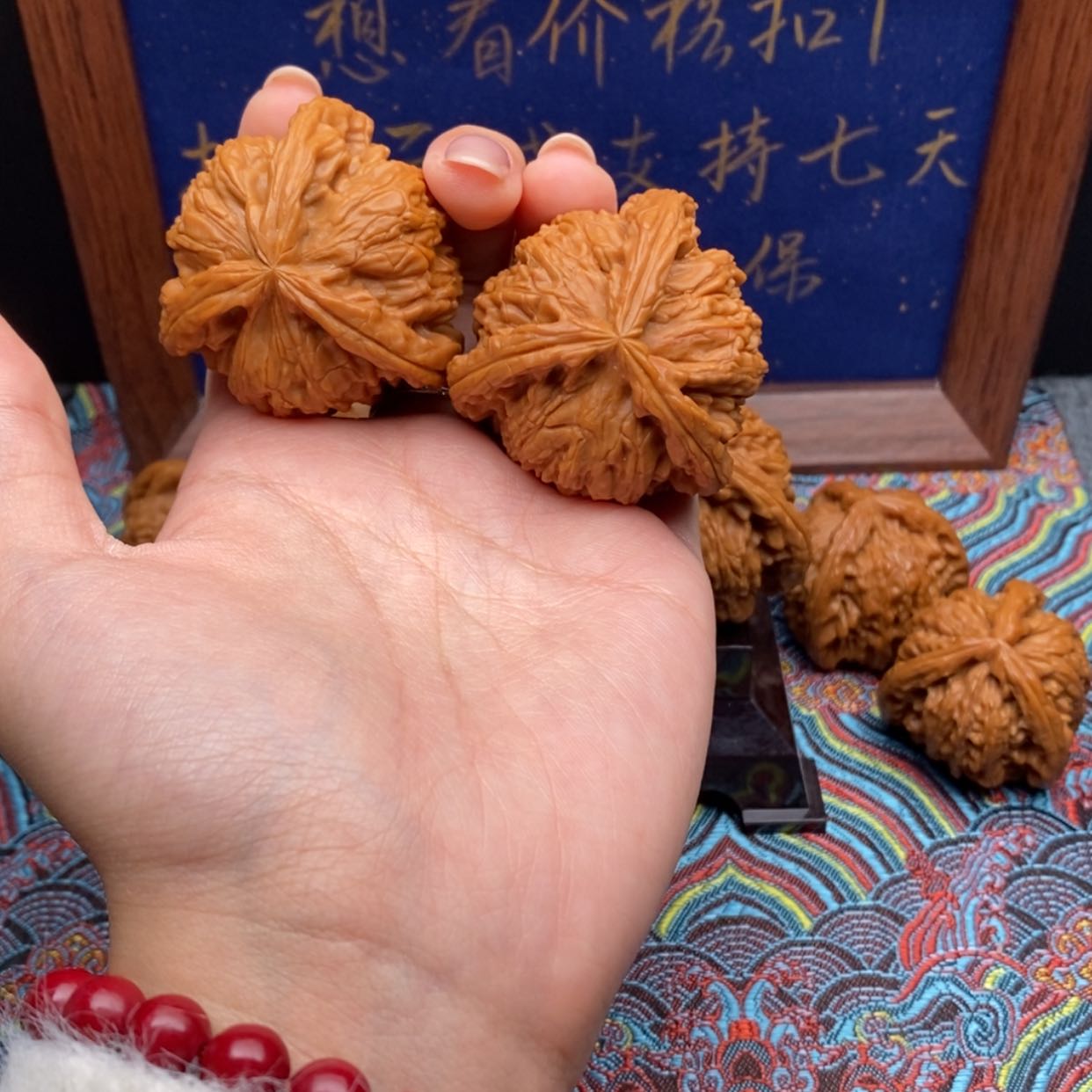 【闪购商品】大*白狮