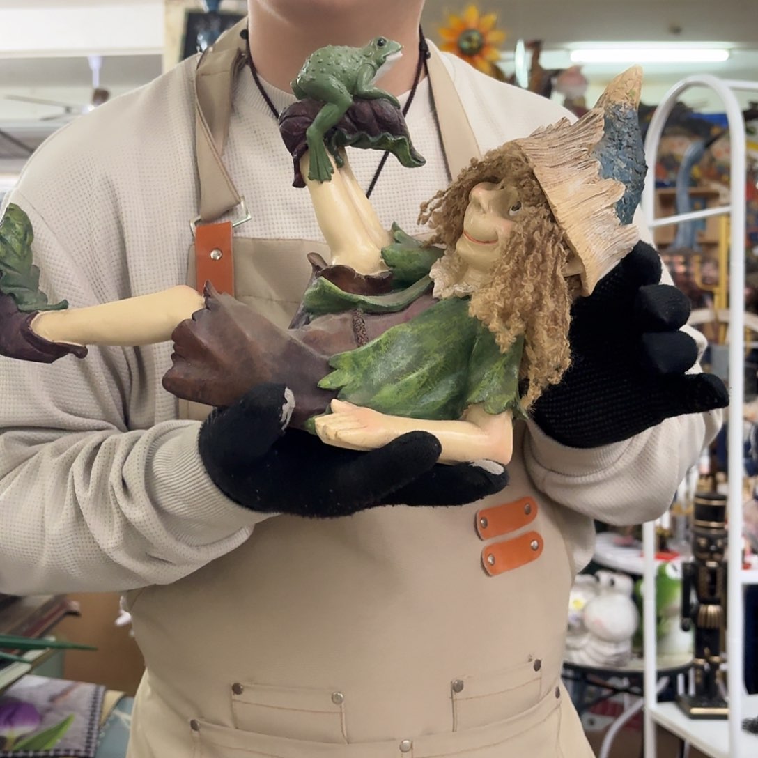 核桃木/黑胡桃（胡桃木）