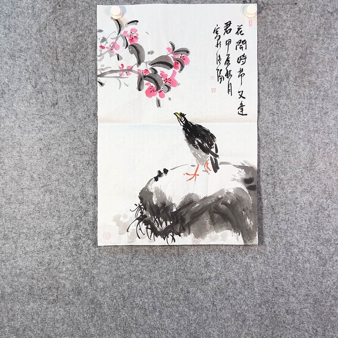 国画197 花鸟等各种花卉品种