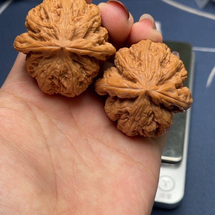 文玩核桃把件粗筋42