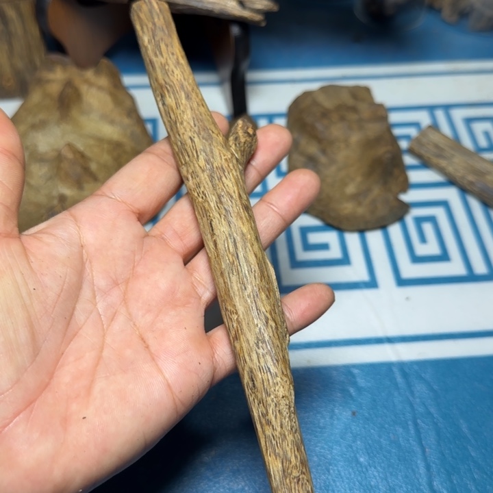 木质母树绿奇陆河树心油21克