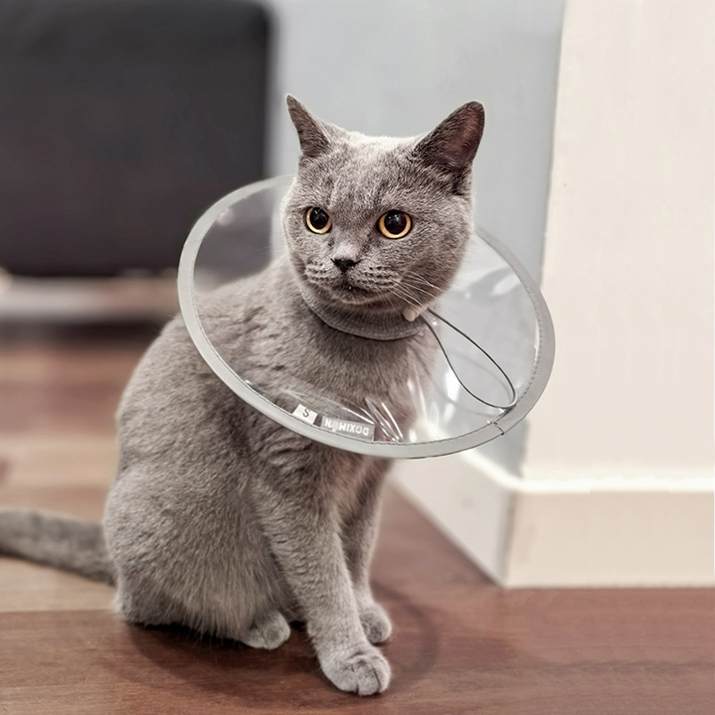猫咪狗狗绝育术后护理伊丽莎白圈透明防水PVC防舔咬脖套