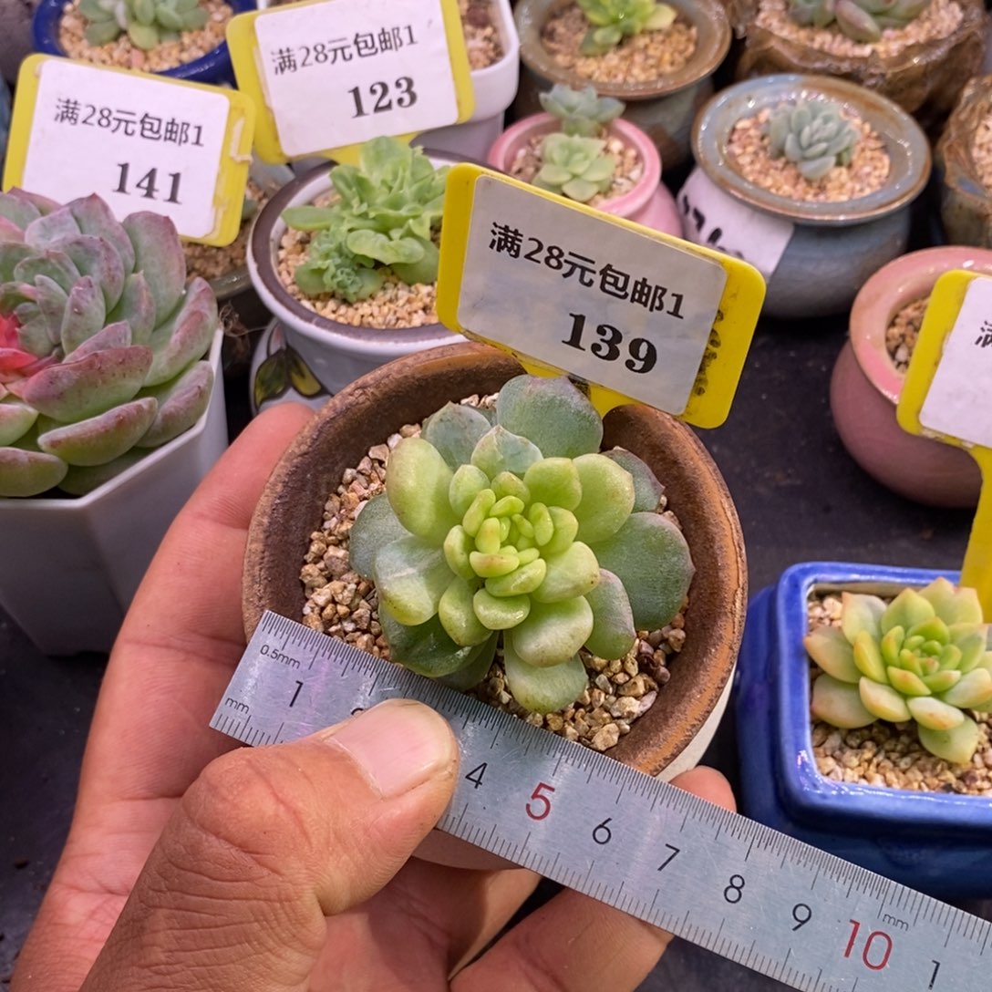 1139冰魄石化拉丝锦……