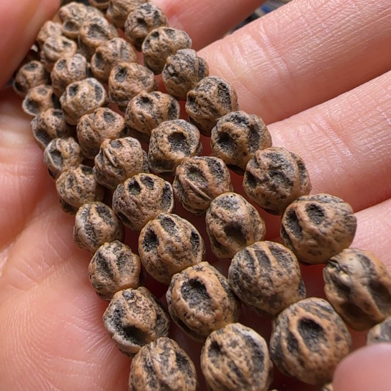 【闪购商品】柏香籽/百香籽吊坠U****s