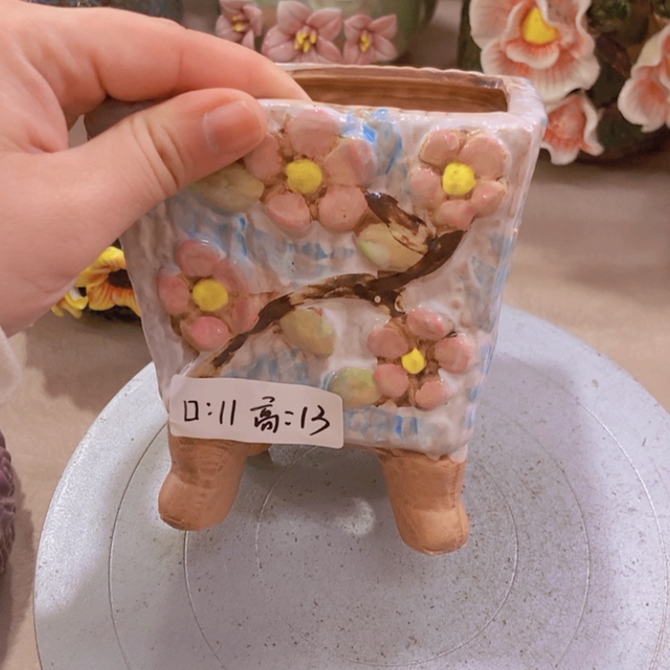 【闪购商品】红陶福利福利福利福利