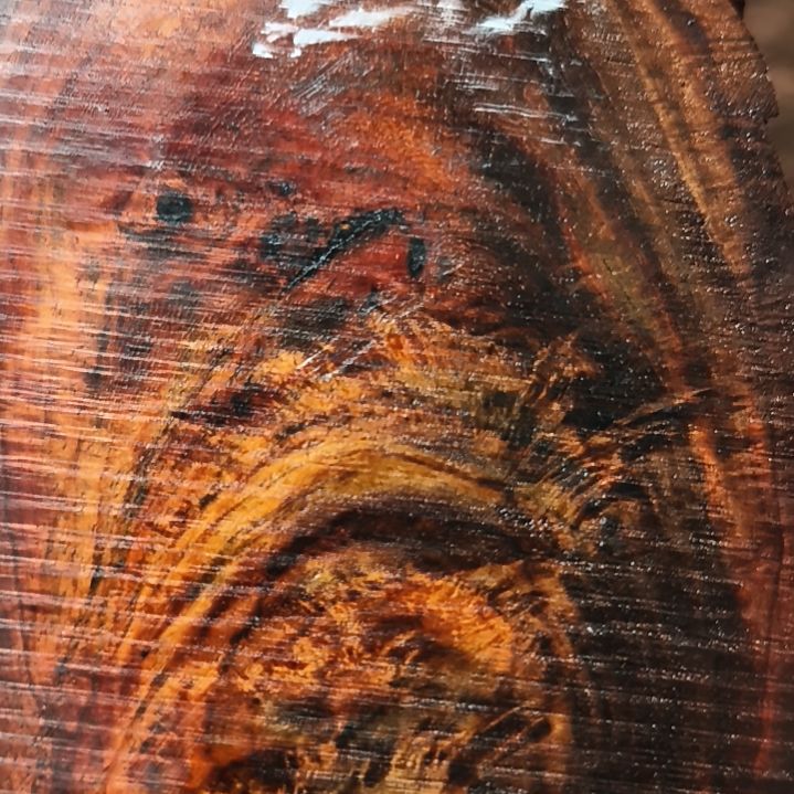 平****香榧木大红酸枝木料