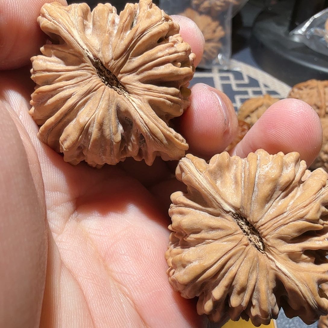 文玩核桃把件吃****嚏平谷楼