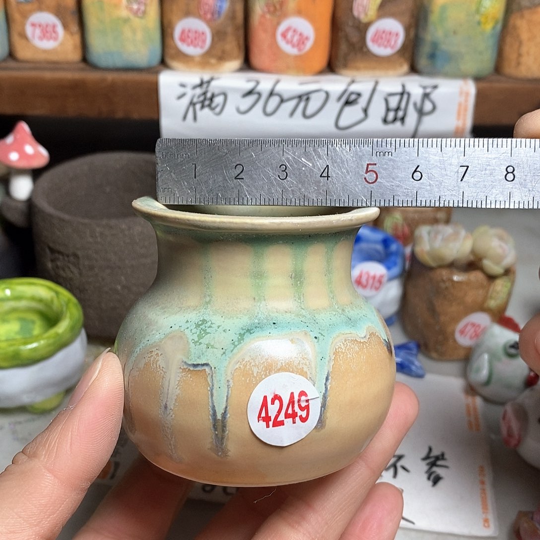 红陶拍5送一个小