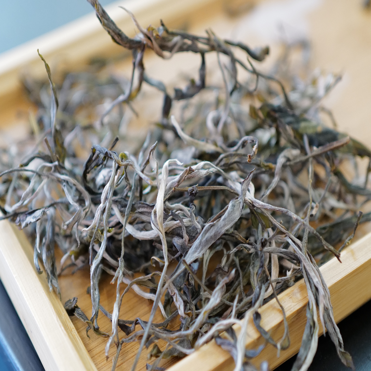 贺开大树（散茶）2025年云南头春大树普洱茶