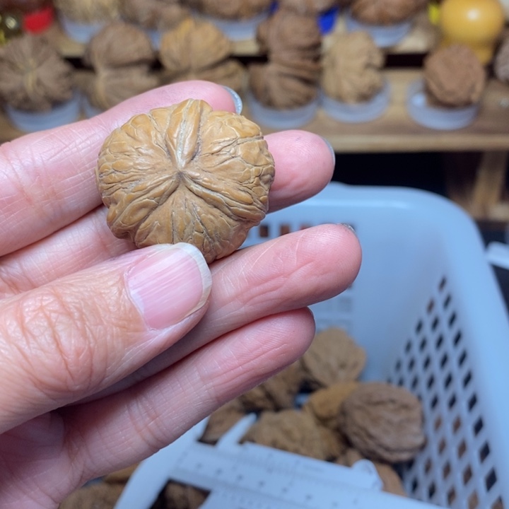 郭***店文玩核桃把件文玩