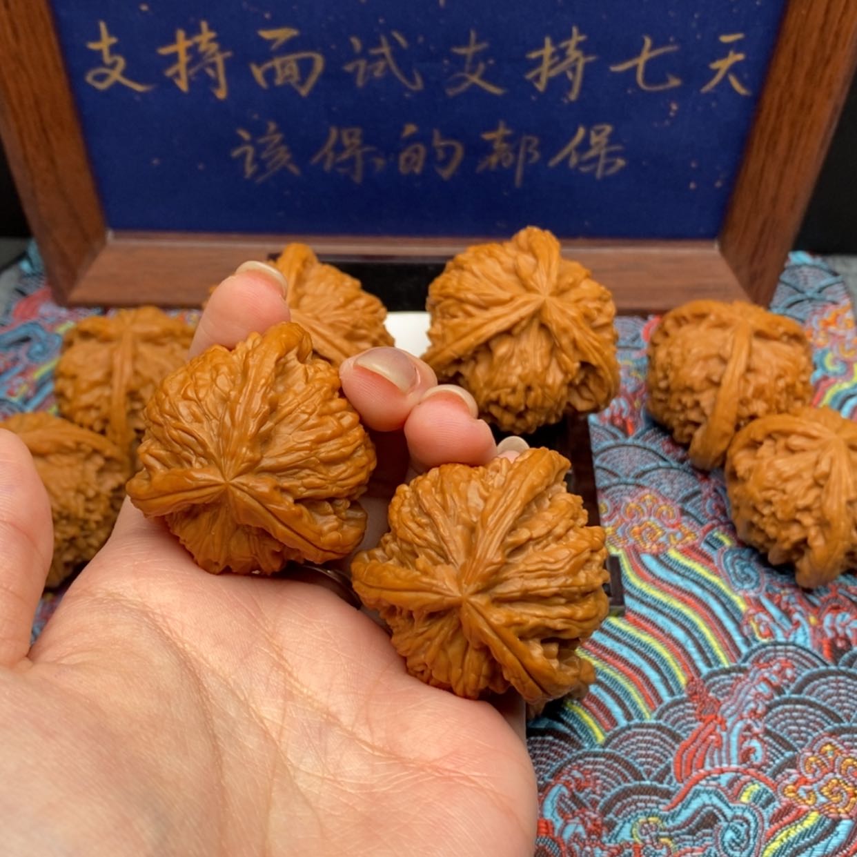 【闪购商品】h****彬白狮