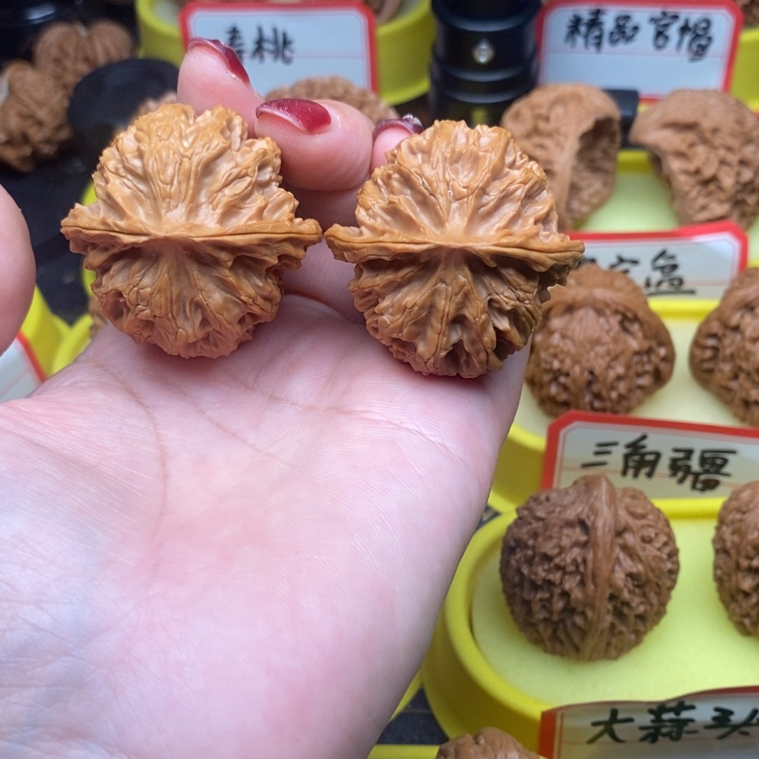 ****圆菩提籽类苹果元园