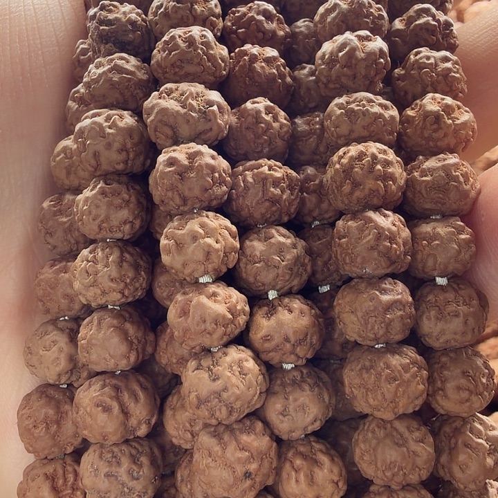 金刚菩提吊坠0瓣梅花9左右