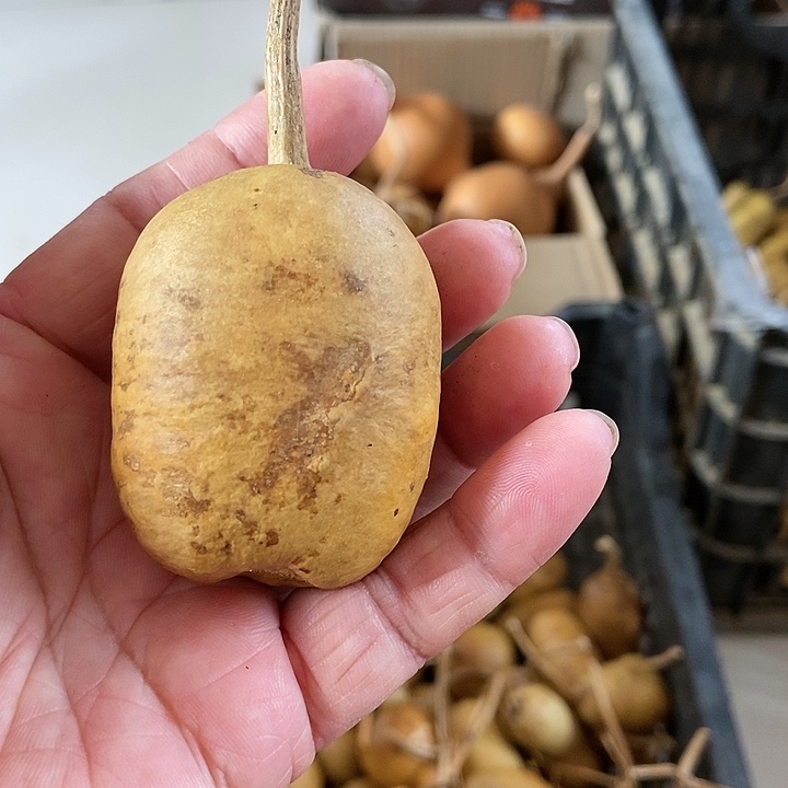 云**落ed fhs osj d f k s