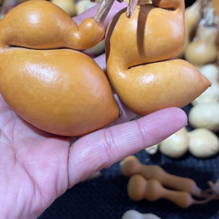 卷***刀葫芦葫哈哈哈哈哈哈哈哈