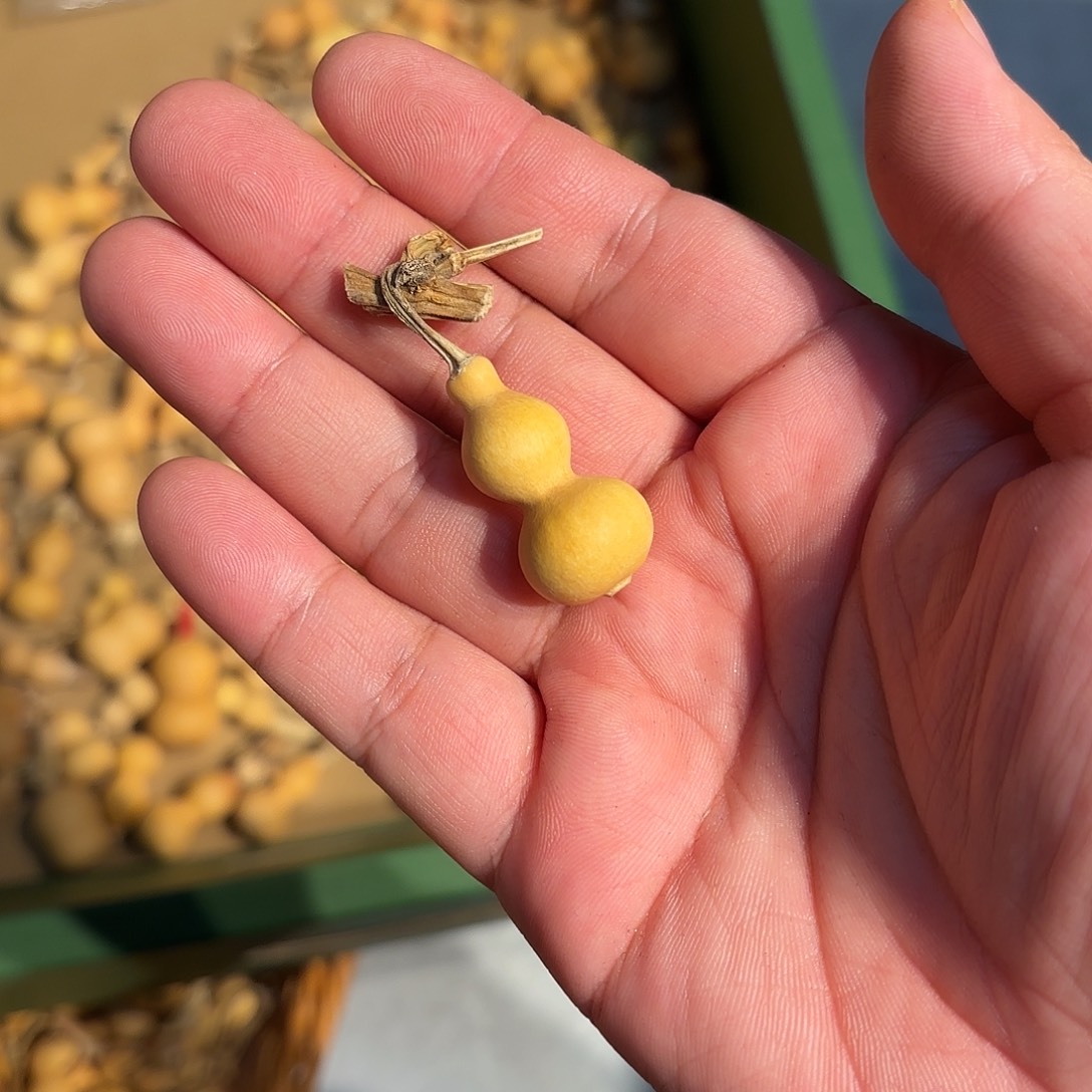 B****哈哈哈哈哈哈哈哈哈哈