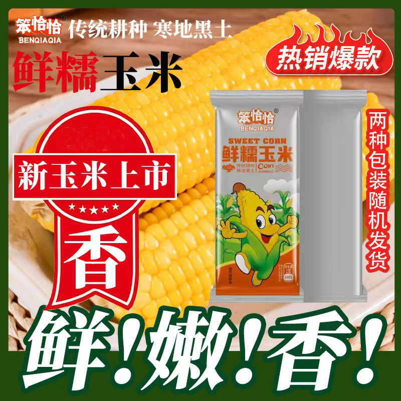 【试吃一根】25年正宗东北头茬黄糯玉米软糯香甜黏260g/10根铝箔装