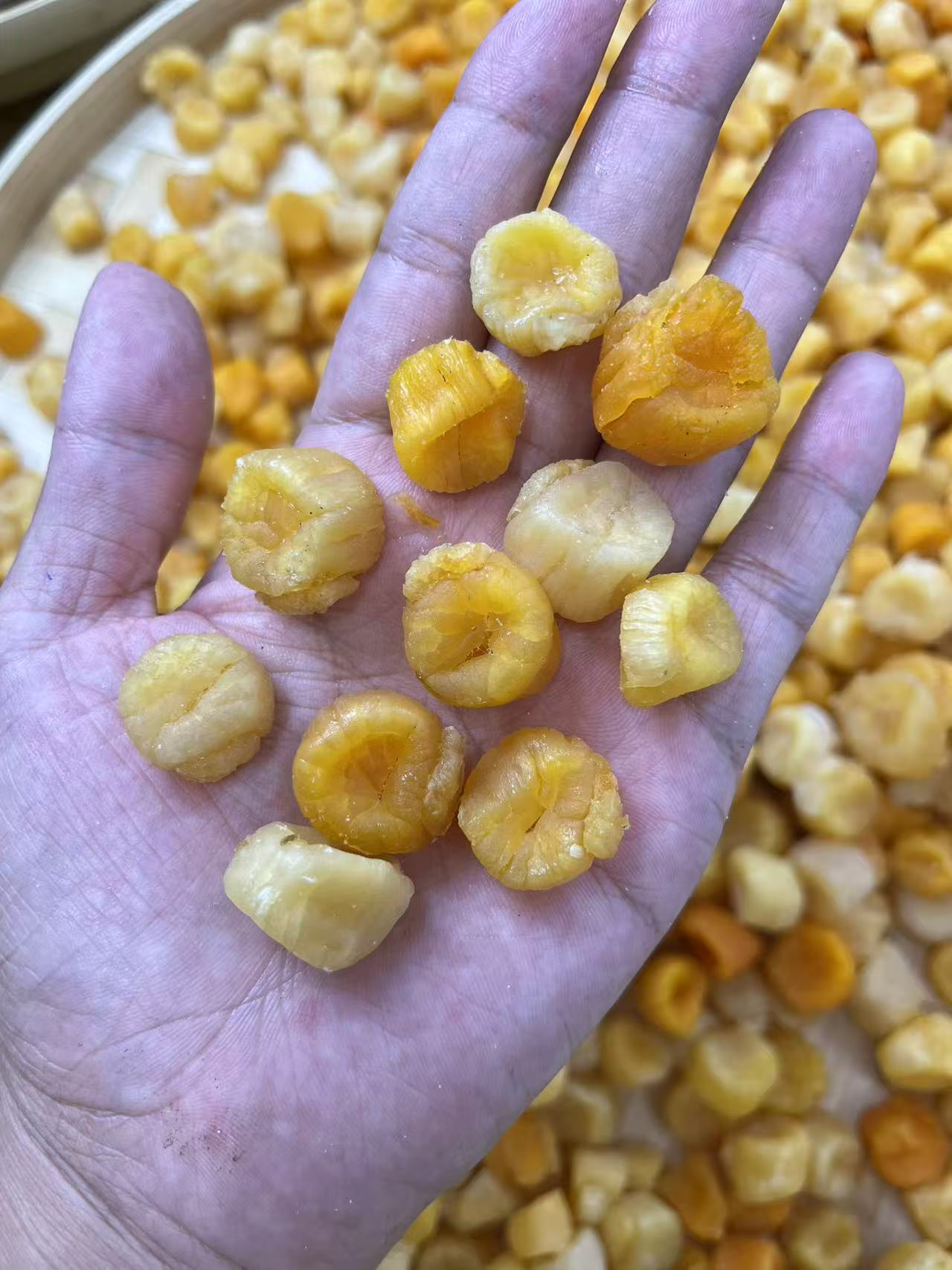 手工生晒野生红贝彩贝干贝瑶柱无盐无添加宝宝辅食真品