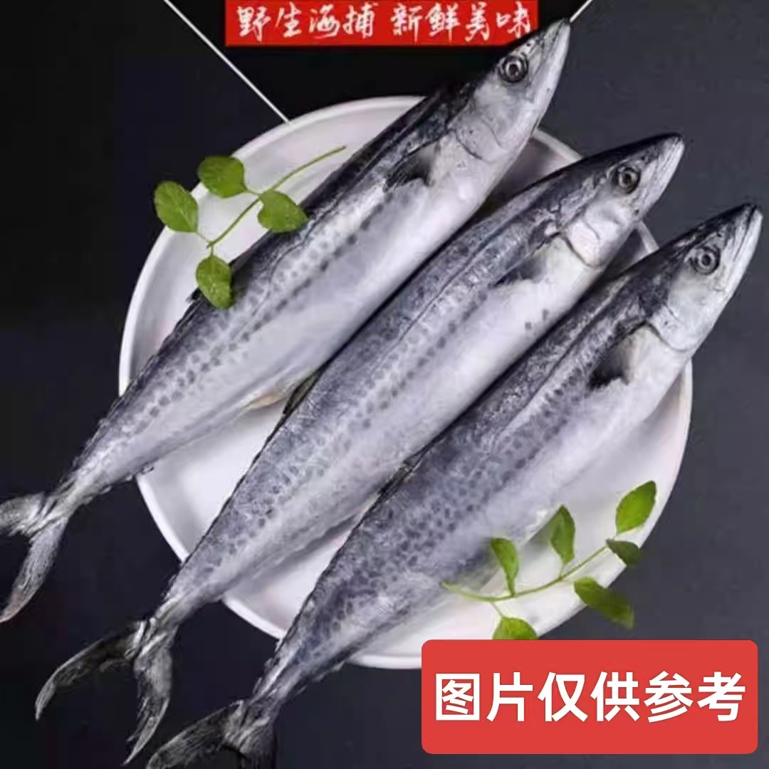 三哥海捕【到手5斤 JD包邮】新鲜速冻燕尾鲅鱼4-6两/条个别掉皮现象