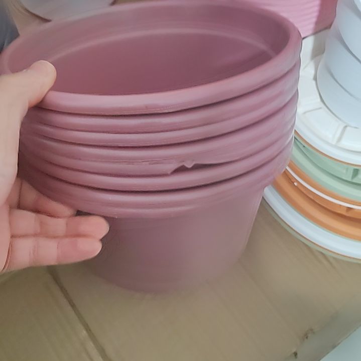 微瑕紫红色的 8 个盆 22 口径