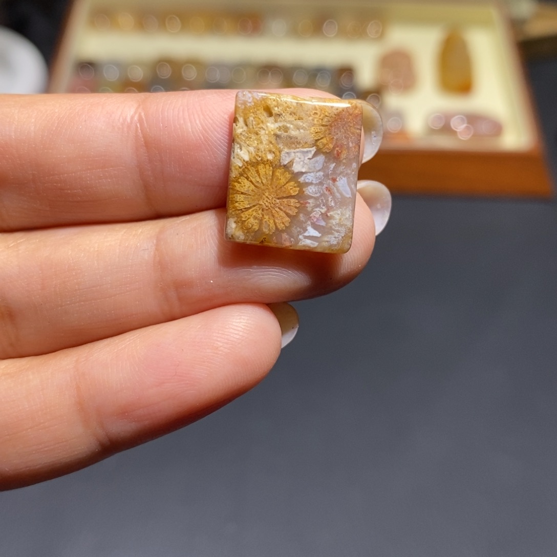 【闪购商品】未镶嵌珊瑚玉硅化玉