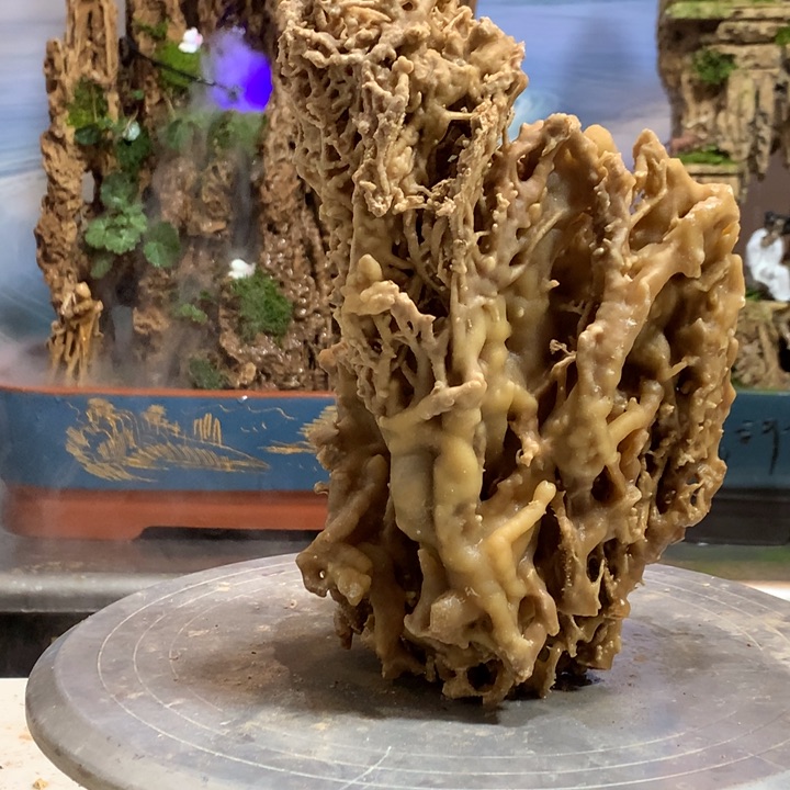 无花朵回****脑你好意思啊是吗还是